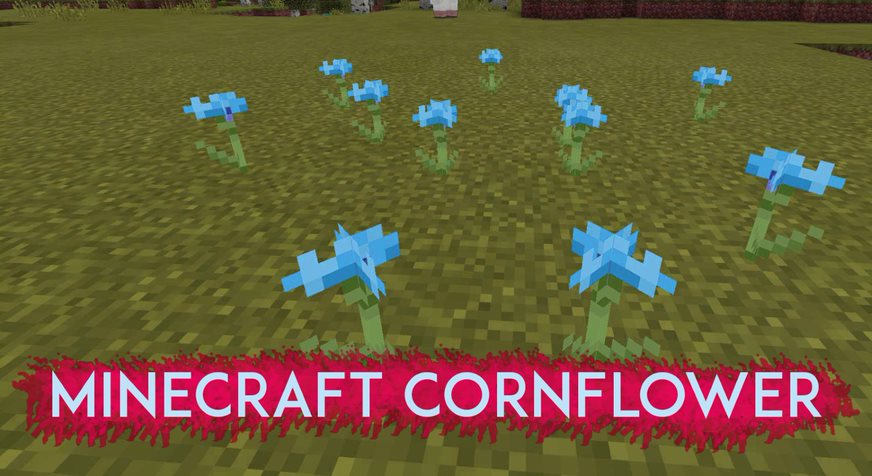 Minecraft Cornflower