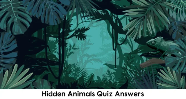 Hidden Animals Quiz Answers