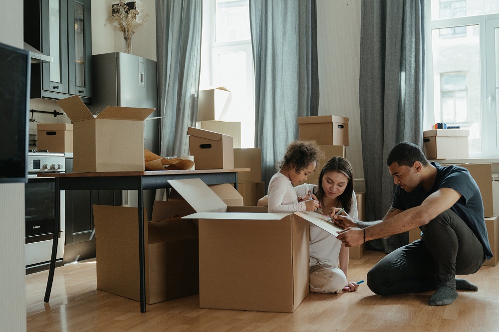 Cardboard Removal Boxes