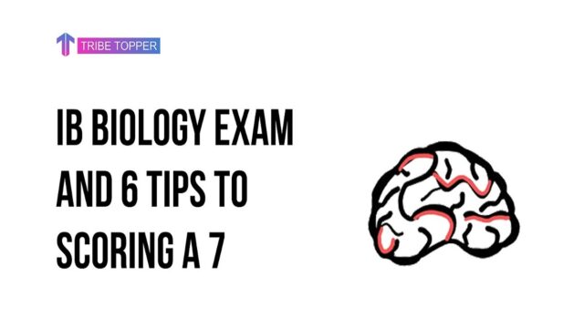 IB Biology exam and 6 tips to scoring a 7