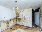 Leak Detection: A Key Component Of Maintaining Your Home Home Affected by Water Leakage