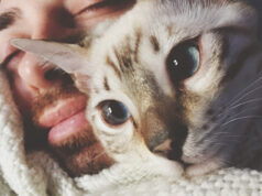 My Head is My Cat’s Favorite Sleeping Spot, And I Want to Know Why.