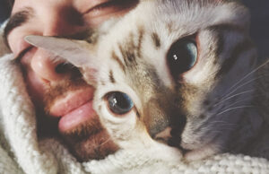 My Head is My Cat’s Favorite Sleeping Spot, And I Want to Know Why. Cat curled up and sleeping on its owner's head