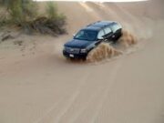 What are the Different Types of Desert Safari in Dubai