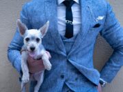 Cross-Border Claims: What International Pet Businesses Face Pet Businesses