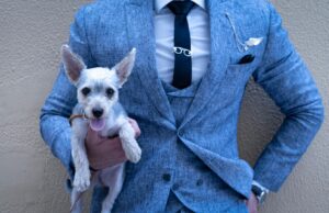 Cross-Border Claims: What International Pet Businesses Face Pet Businesses