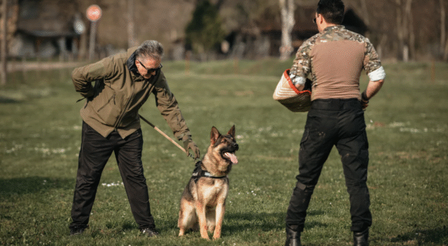 K9 Training for Law