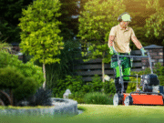 The Benefits of Layered Landscaping for Depth and Texture Layered Landscaping