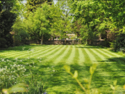 Understanding The Relationship Between Lawn Care and Soil Health Lawn Care