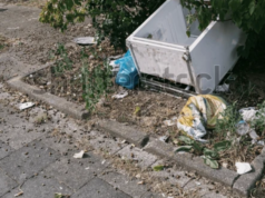 Why You Shouldn’t Just Toss Your Old Refrigerator in the Trash Refrigerator