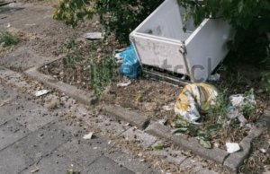 Why You Shouldn’t Just Toss Your Old Refrigerator in the Trash Old refrigerator being hauled away for proper disposal